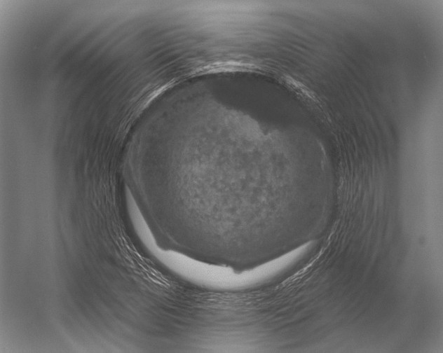 X0000056331313200509161659