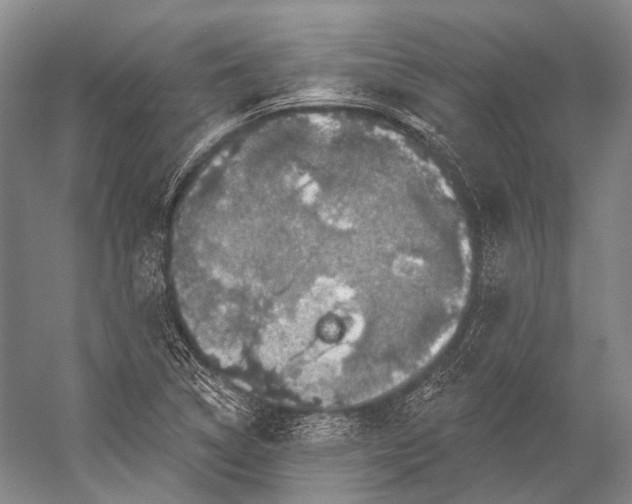 X0000056331314200509161659