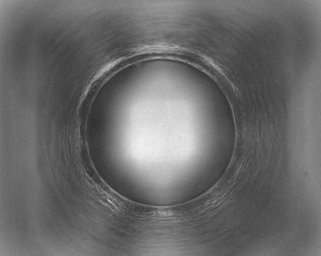 X0000056331315200509161659