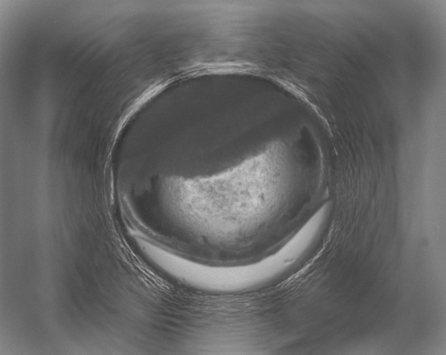 X0000056331317200509161659