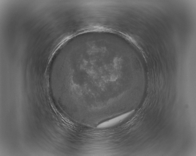 X0000056331318200509161659