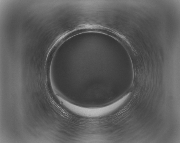 X0000056331319200509161659