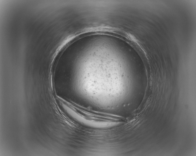 X0000056331320200509161659