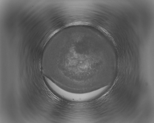 X0000056331321200509161659