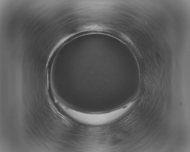 X0000056331323200509161659