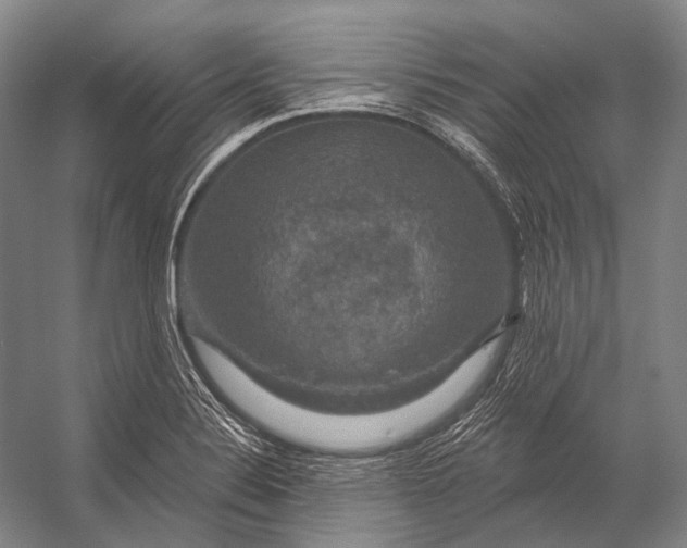 X0000056331324200509161659