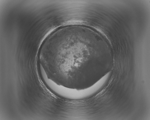 X0000056331325200509161659