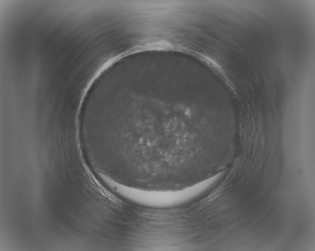 X0000056331326200509161659