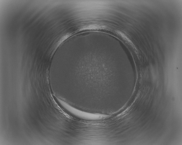 X0000056331329200509161659