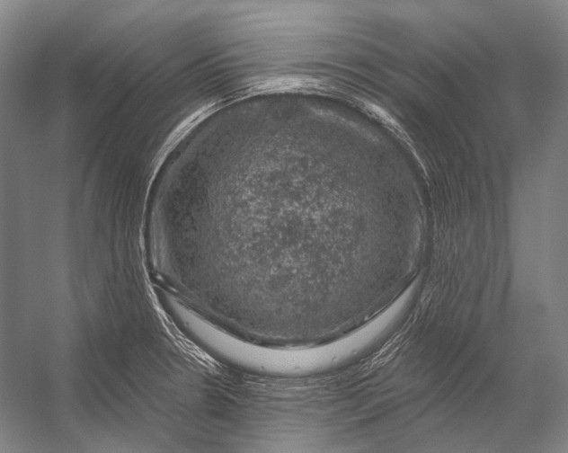 X0000056331330200509161659