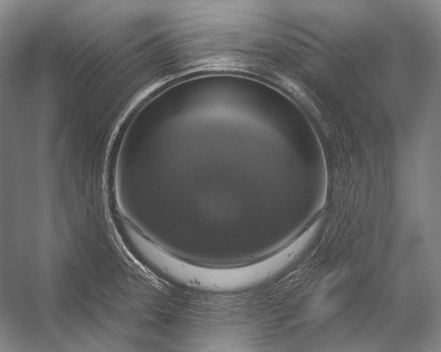 X0000056331331200509161659