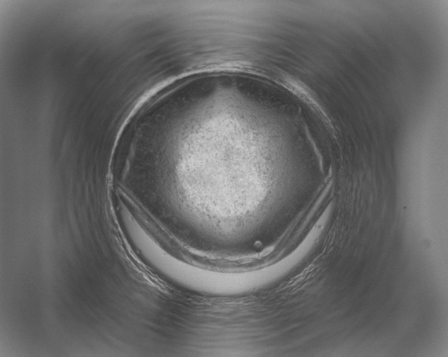 X0000056331332200509161659