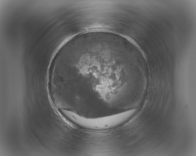 X0000056331333200509161659