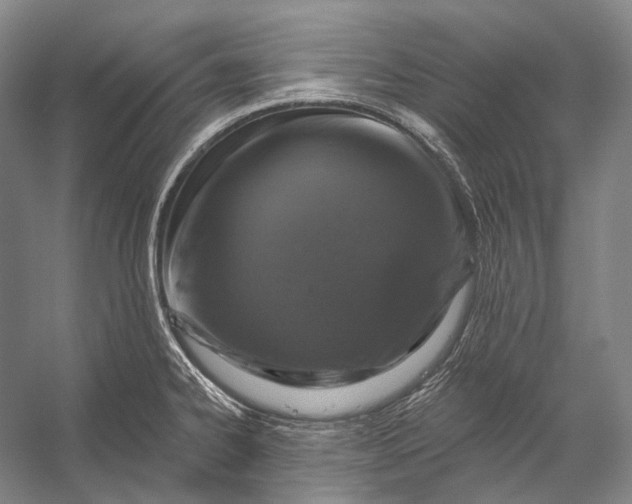 X0000056331334200509161659