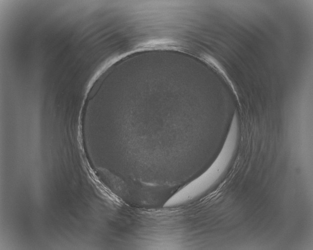 X0000056331336200509161659