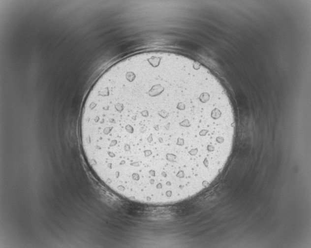 X0000056331338200509161659