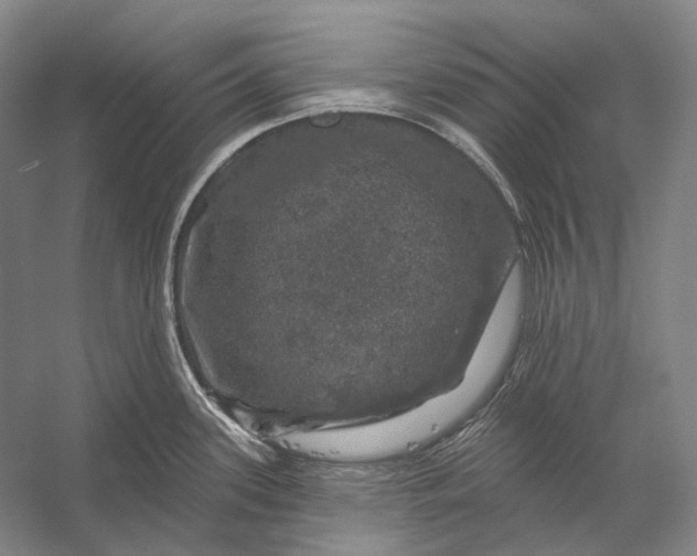 X0000056331339200509161659