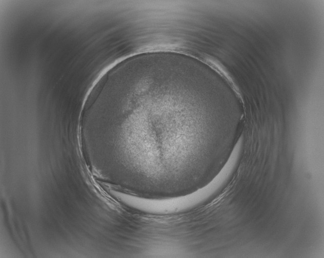 X0000056331340200509161659