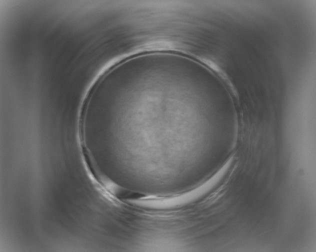 X0000056331342200509161659