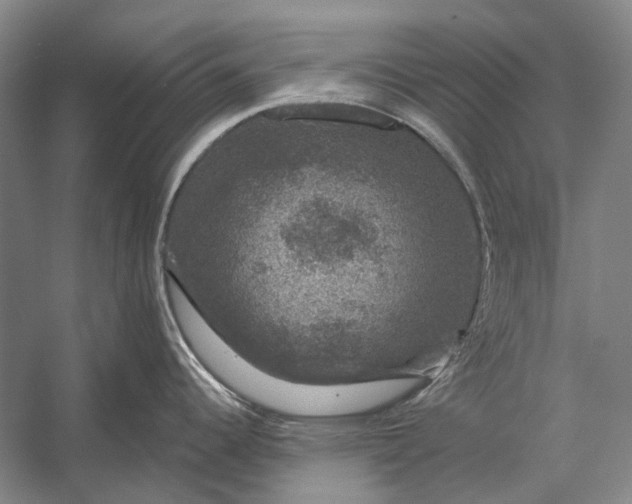 X0000056331344200509161659