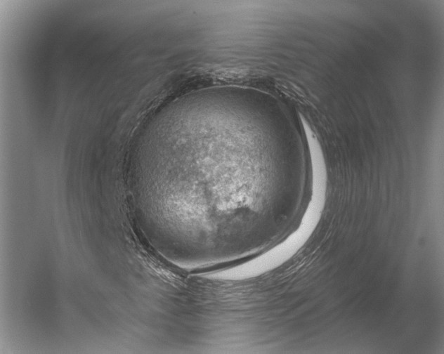 X0000056331345200509161659