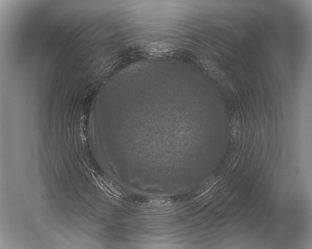 X0000056331346200509161659