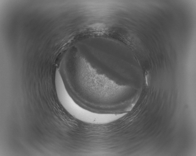 X0000056331347200509161658