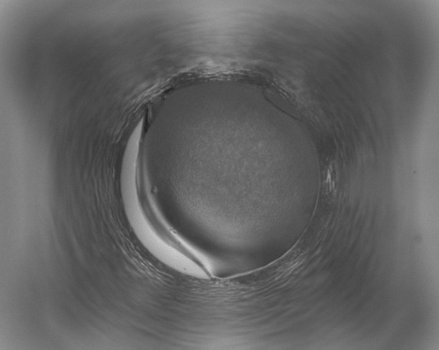 X0000056331348200509161658