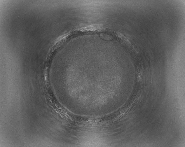 X0000056331350200509161658