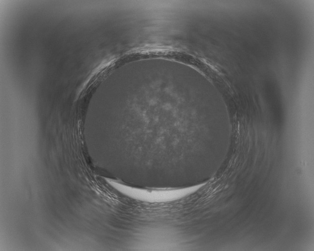 X0000056331351200509161658