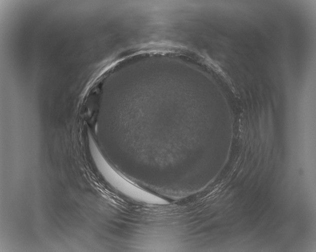 X0000056331352200509161658