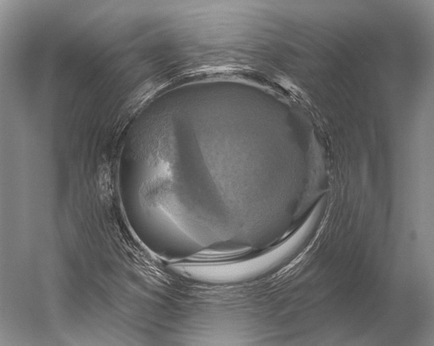 X0000056331353200509161658