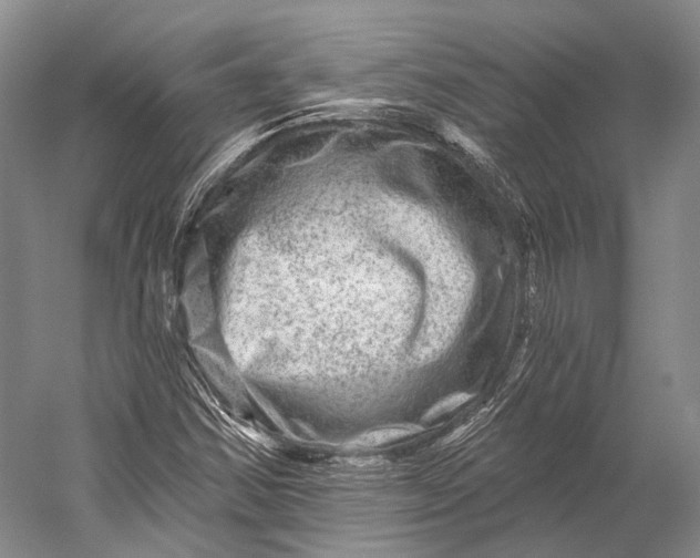 X0000056331354200509161658