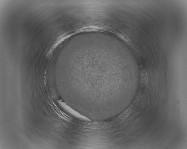 X0000056331355200509161658