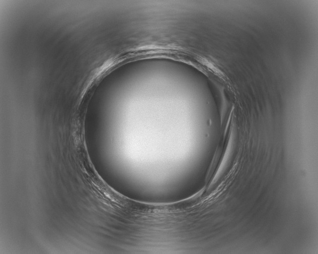 X0000056331357200509161658