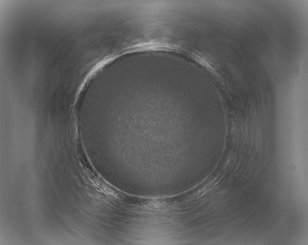 X0000056331358200509161658