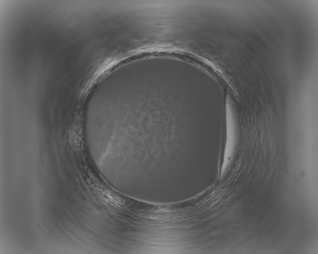 X0000056331359200509161658