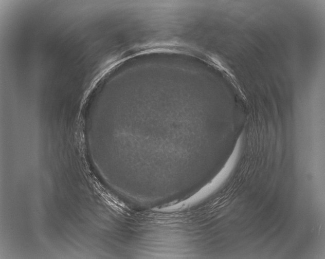 X0000056331360200509161658