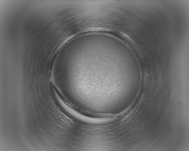 X0000056331361200509161658