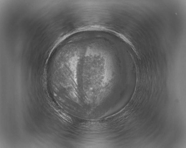 X0000056331364200509161658