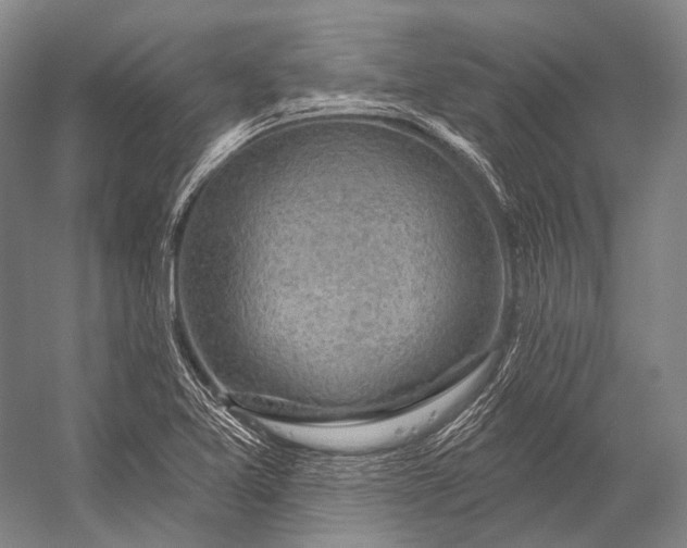 X0000056331365200509161658