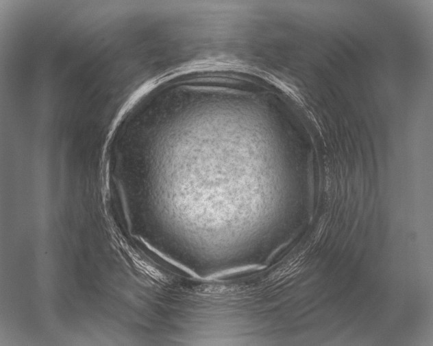 X0000056331366200509161658