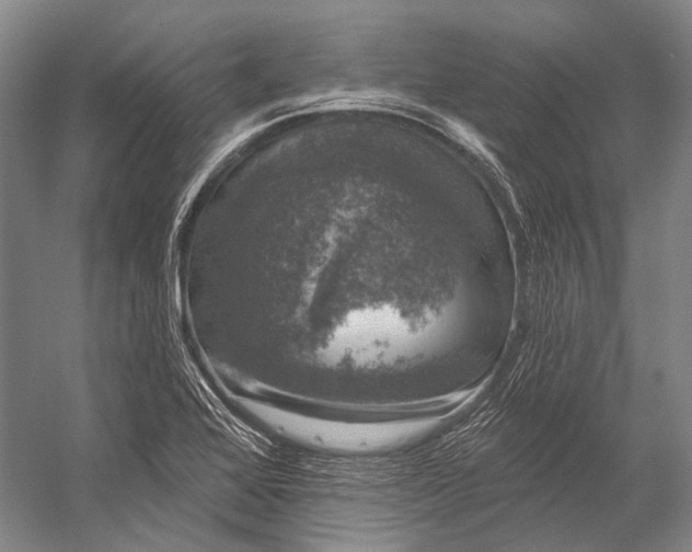 X0000056331368200509161658