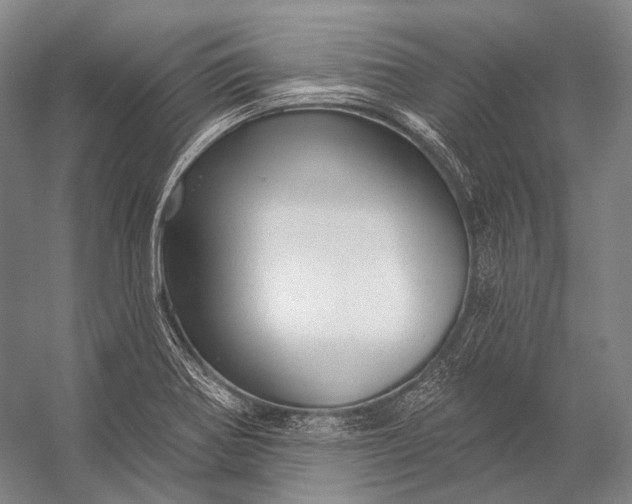 X0000056331370200509161658