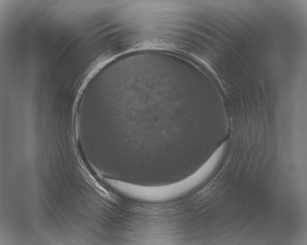 X0000056331371200509161658