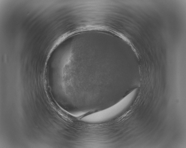 X0000056331373200509161658