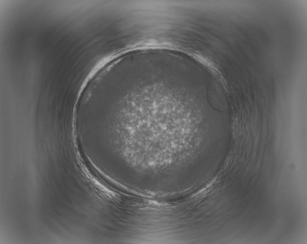 X0000056331374200509161658