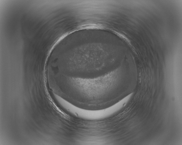 X0000056331375200509161658