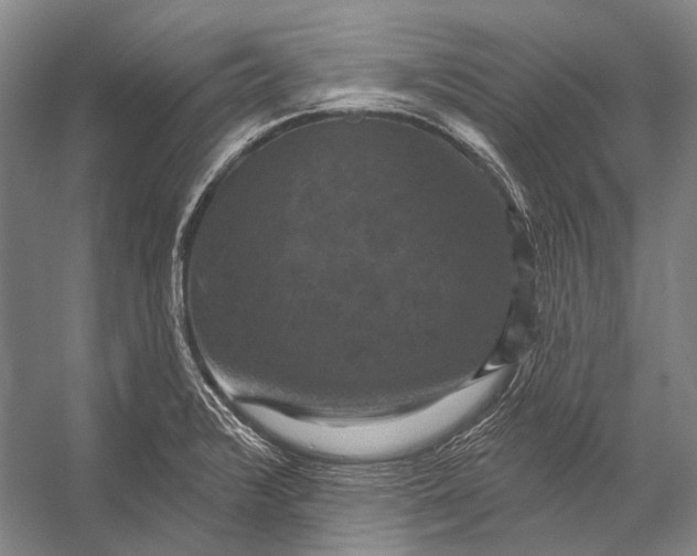 X0000056331376200509161658