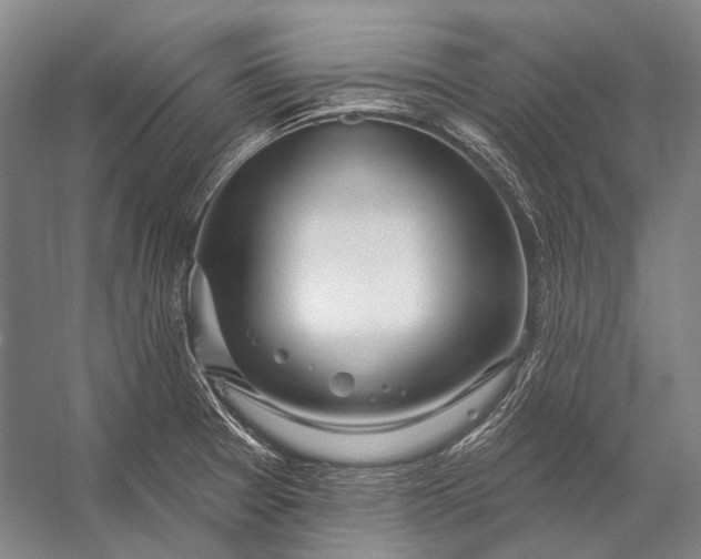 X0000056331377200509161658